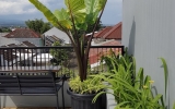 Natural Garden Rooftop